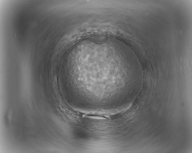 X0000067351489200604071411