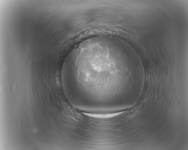 X0000067351490200604071411