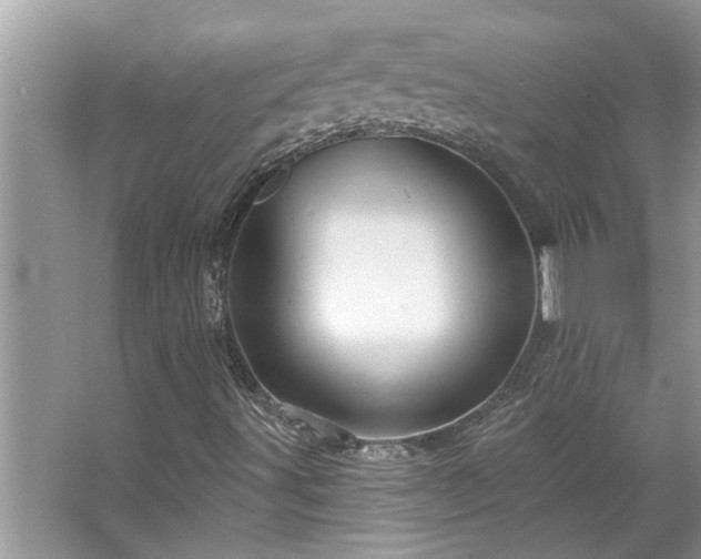 X0000067351491200604071411