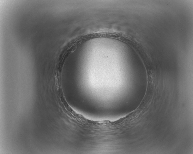 X0000067351493200604071412