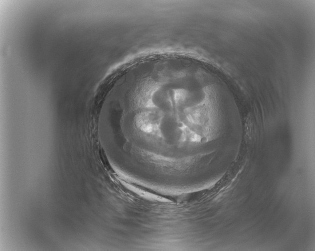 X0000067351494200604071412