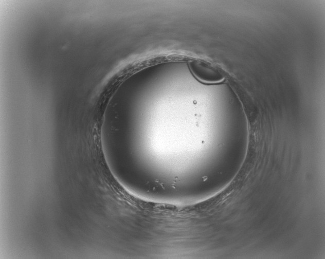 X0000067351495200604071412