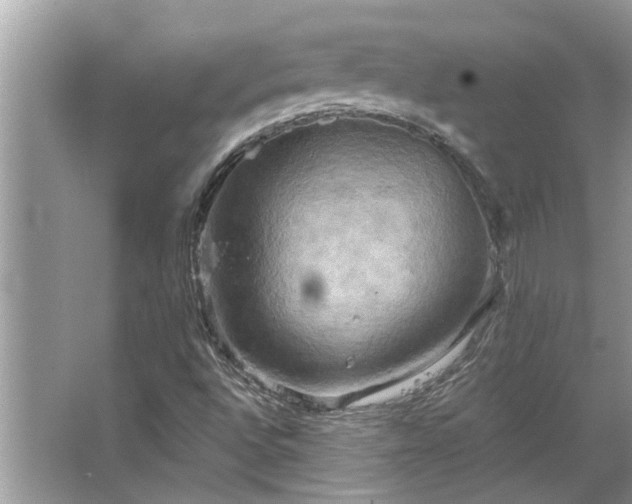 X0000067351496200604071412