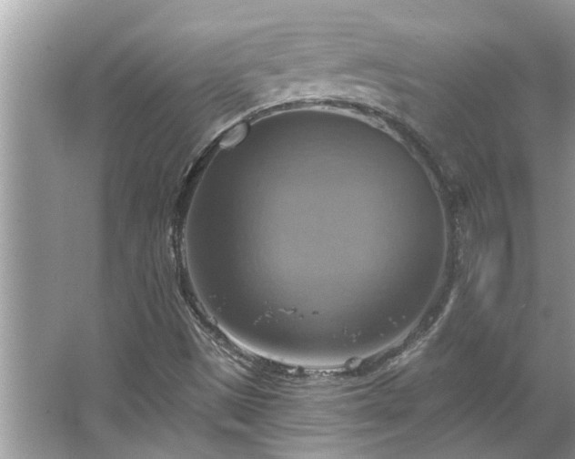 X0000067351497200604071412