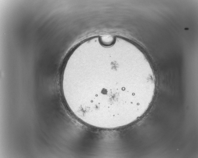 X0000067351498200604071412