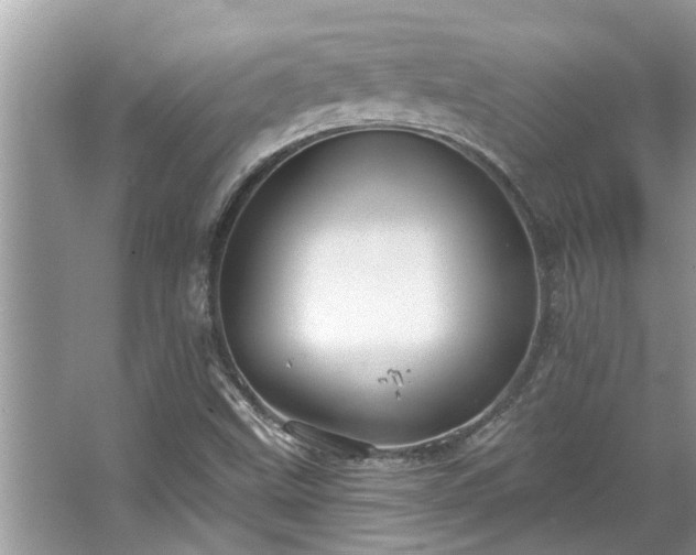 X0000067351499200604071412