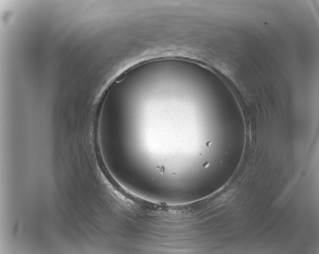 X0000067351500200604071412