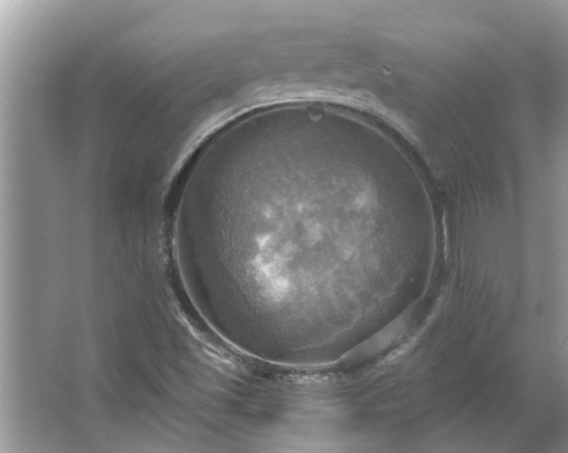 X0000067351501200604071412