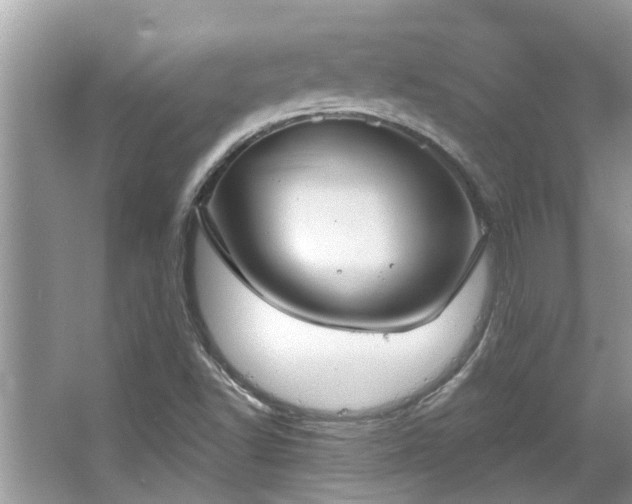 X0000067351502200604071412