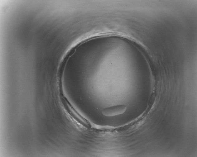 X0000067351506200604071412