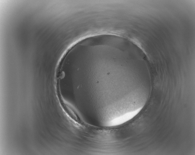 X0000067351508200604071412