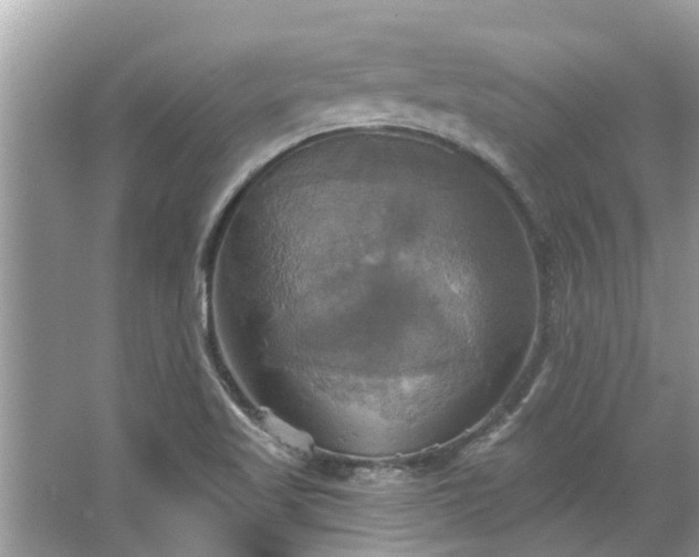 X0000067351509200604071412