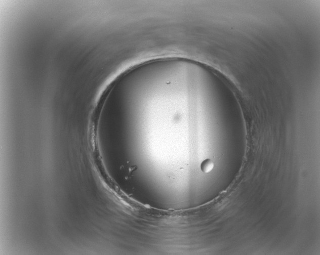 X0000067351510200604071412