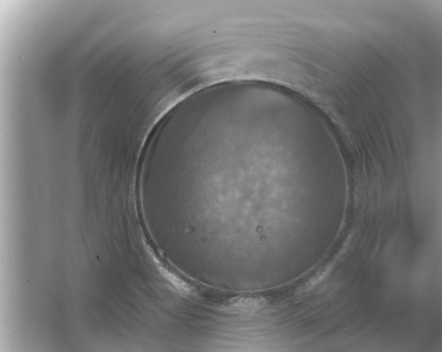 X0000067351513200604071412