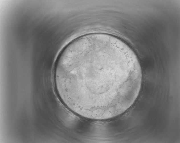 X0000067351514200604071412