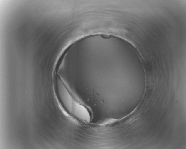 X0000067351515200604071412