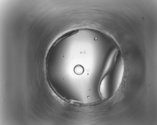 X0000067351516200604071412