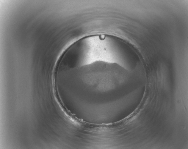 X0000067351517200604071412