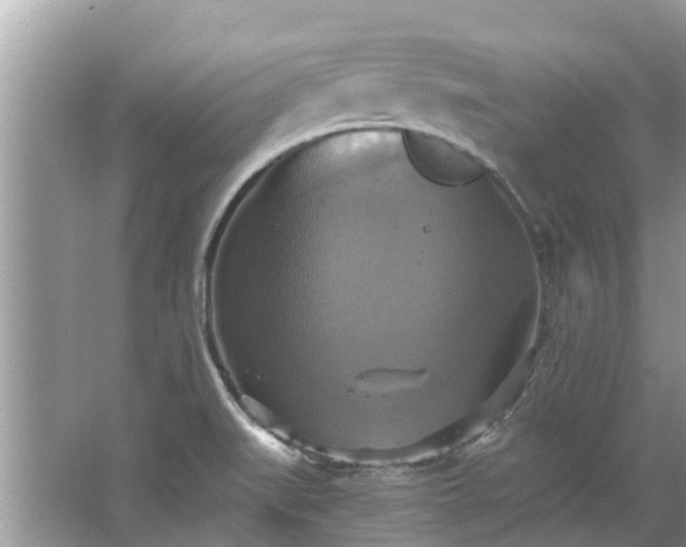 X0000067351519200604071412