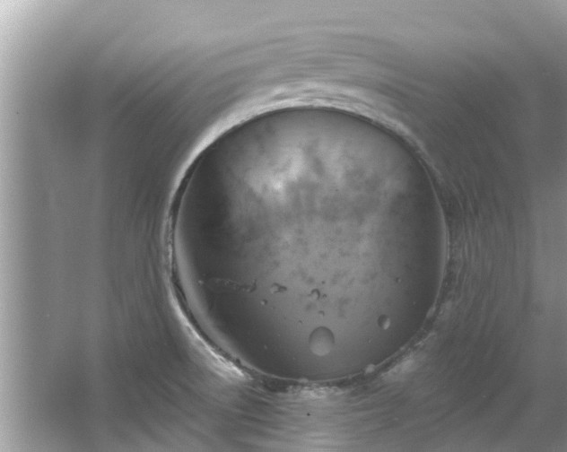 X0000067351522200604071412