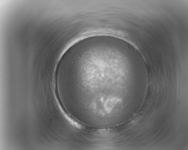 X0000067351523200604071412