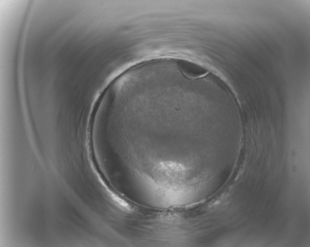 X0000067351525200604071412