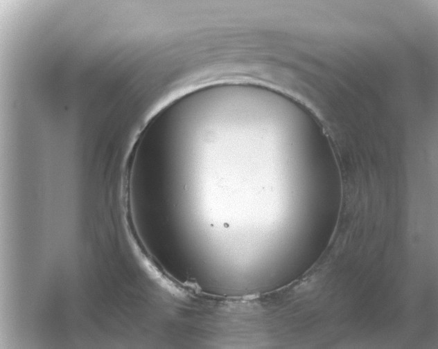 X0000067351526200604071412