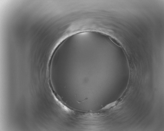 X0000067351527200604071412