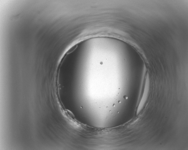 X0000067351530200604071412