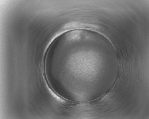 X0000067351531200604071412