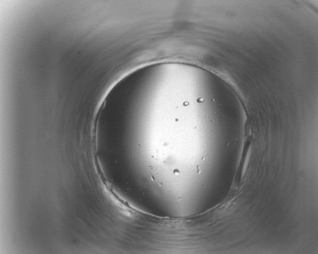 X0000067351532200604071412