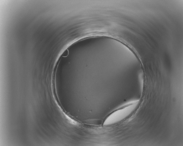 X0000067351533200604071412