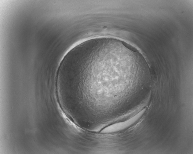 X0000067351534200604071412