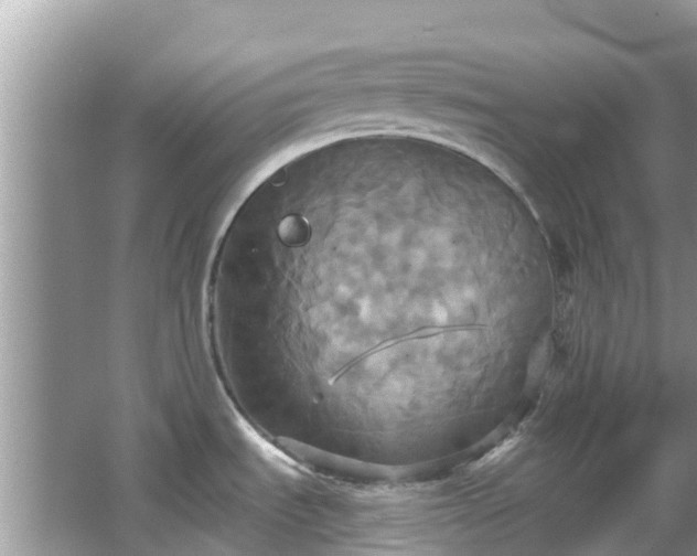 X0000067351535200604071412