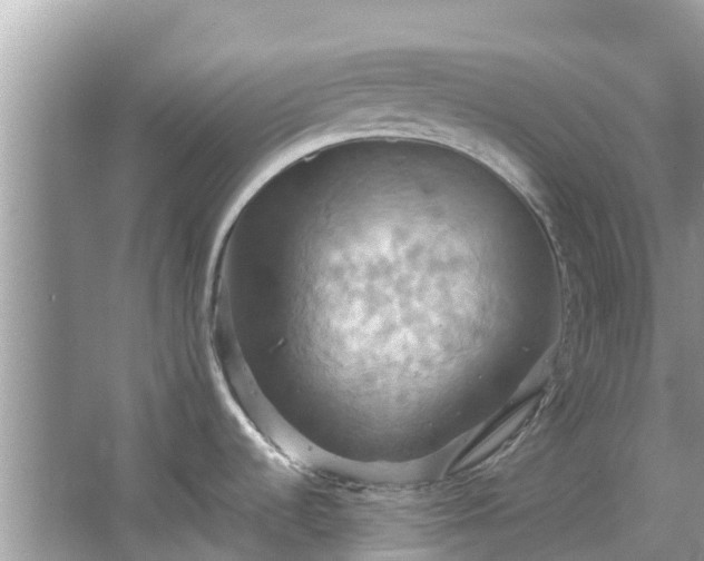 X0000067351536200604071412