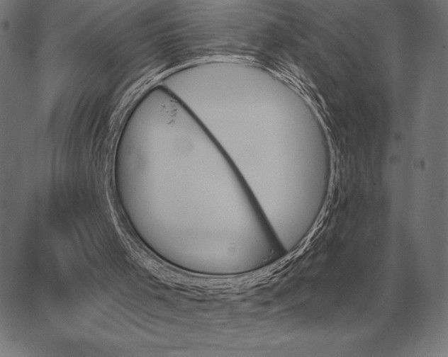 X0000067350001200604131802