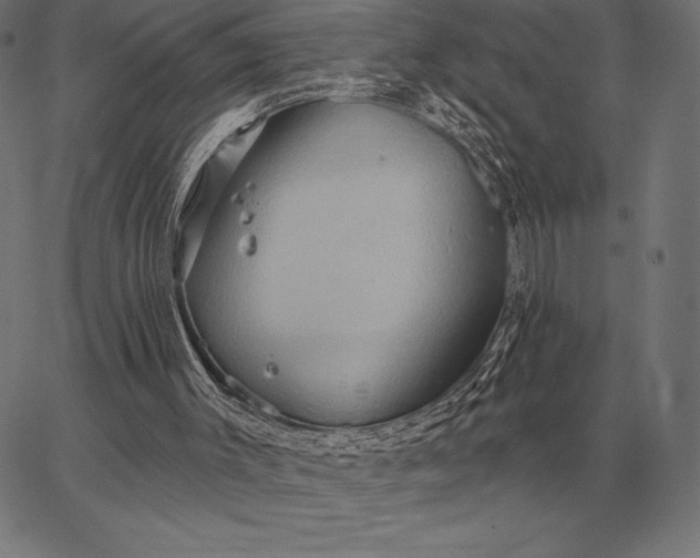 X0000067350003200604131802