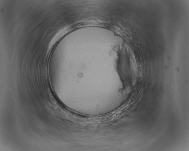 X0000067350004200604131802