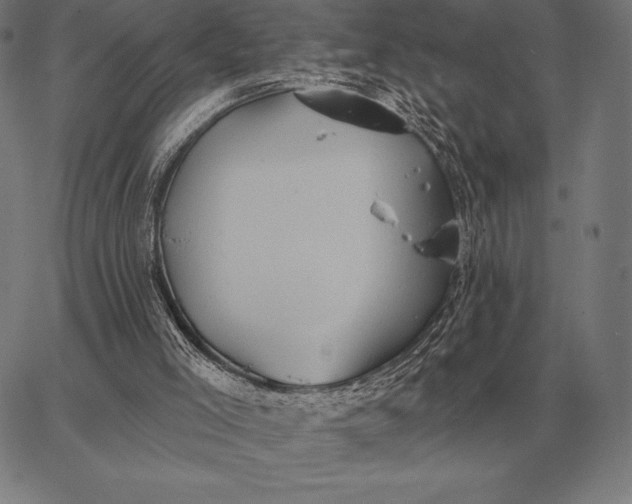 X0000067350005200604131802