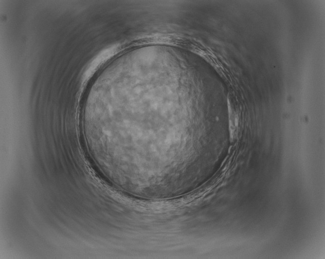 X0000067350006200604131802