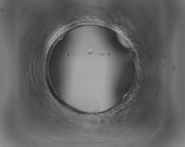 X0000067350007200604131802