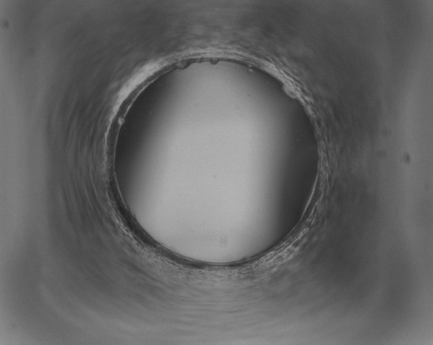 X0000067350008200604131802