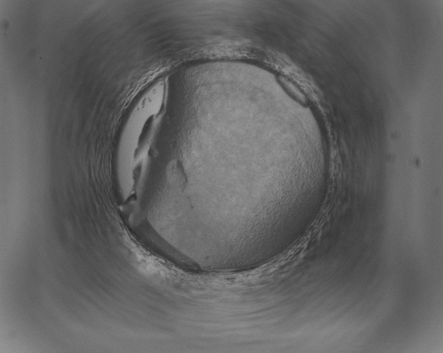 X0000067350009200604131802