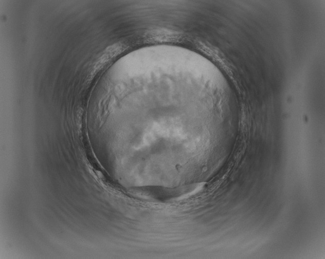 X0000067350010200604131802