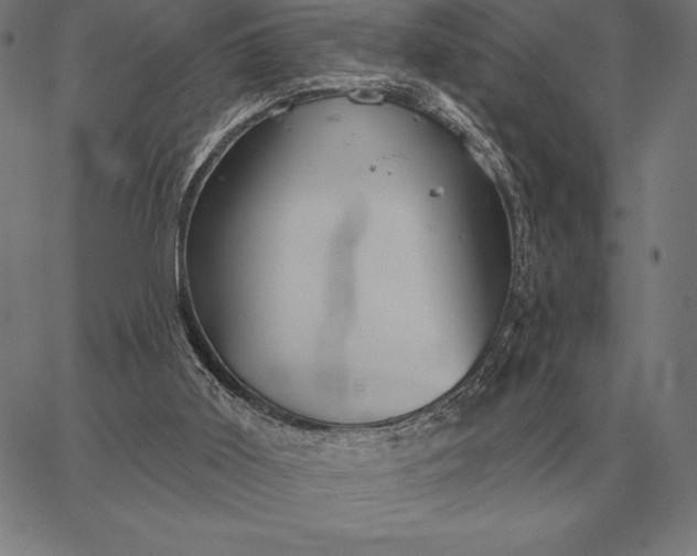 X0000067350011200604131802