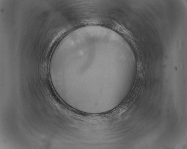 X0000067350012200604131802