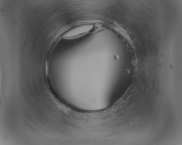 X0000067350013200604131802