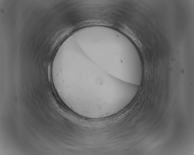 X0000067350014200604131802