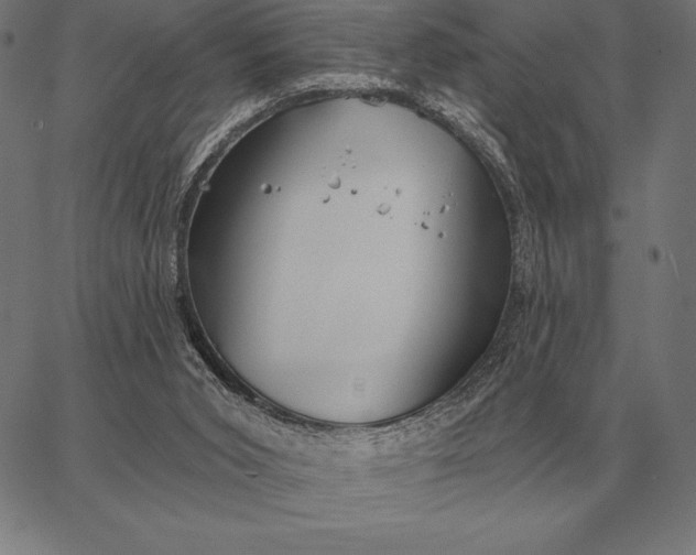 X0000067350015200604131802