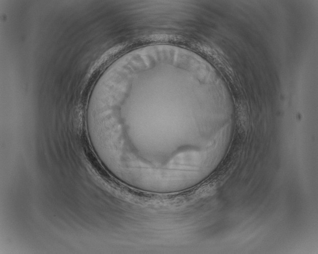 X0000067350016200604131802